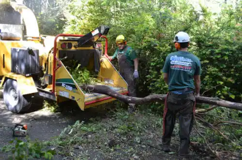 tree services Southside